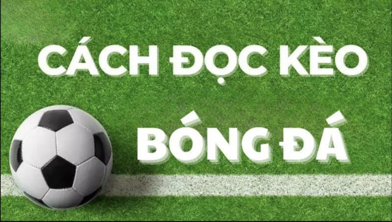 Phân tích dữ liệu trước khi đặt kèo