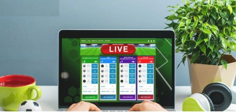 Bí kíp soi kèo từ biểu đồ biến động cho người mới