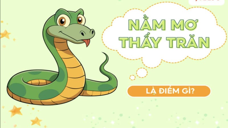 Giải mã ý nghĩa biểu tượng của con trăn trong giấc mơ