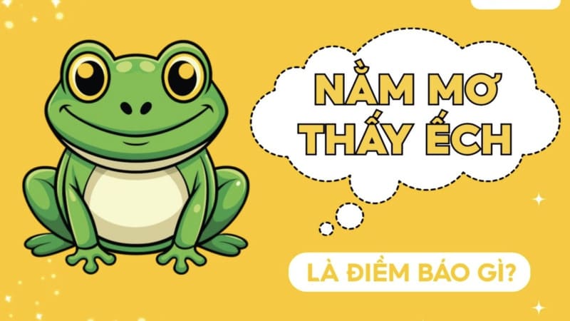 Giải mã ý nghĩa biểu tượng của loài ếch trong tâm linh