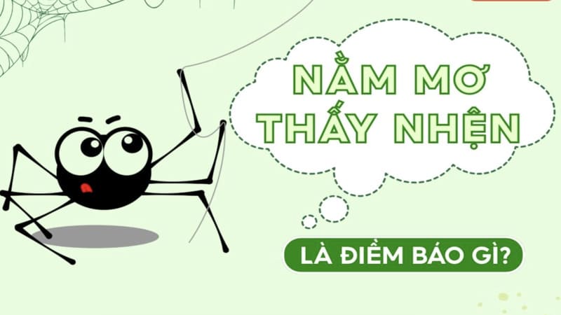 Giải mã ý nghĩa chung của giấc mơ thấy nhện
