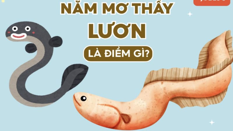 Giải mã ý nghĩa giấc mơ thấy lươn