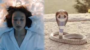 Người dùng cần làm gì sau khi gặp giấc mơ này?