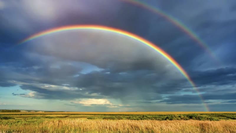 Tại sao bạn lại có giấc mơ này? (Góc nhìn tâm lý học)